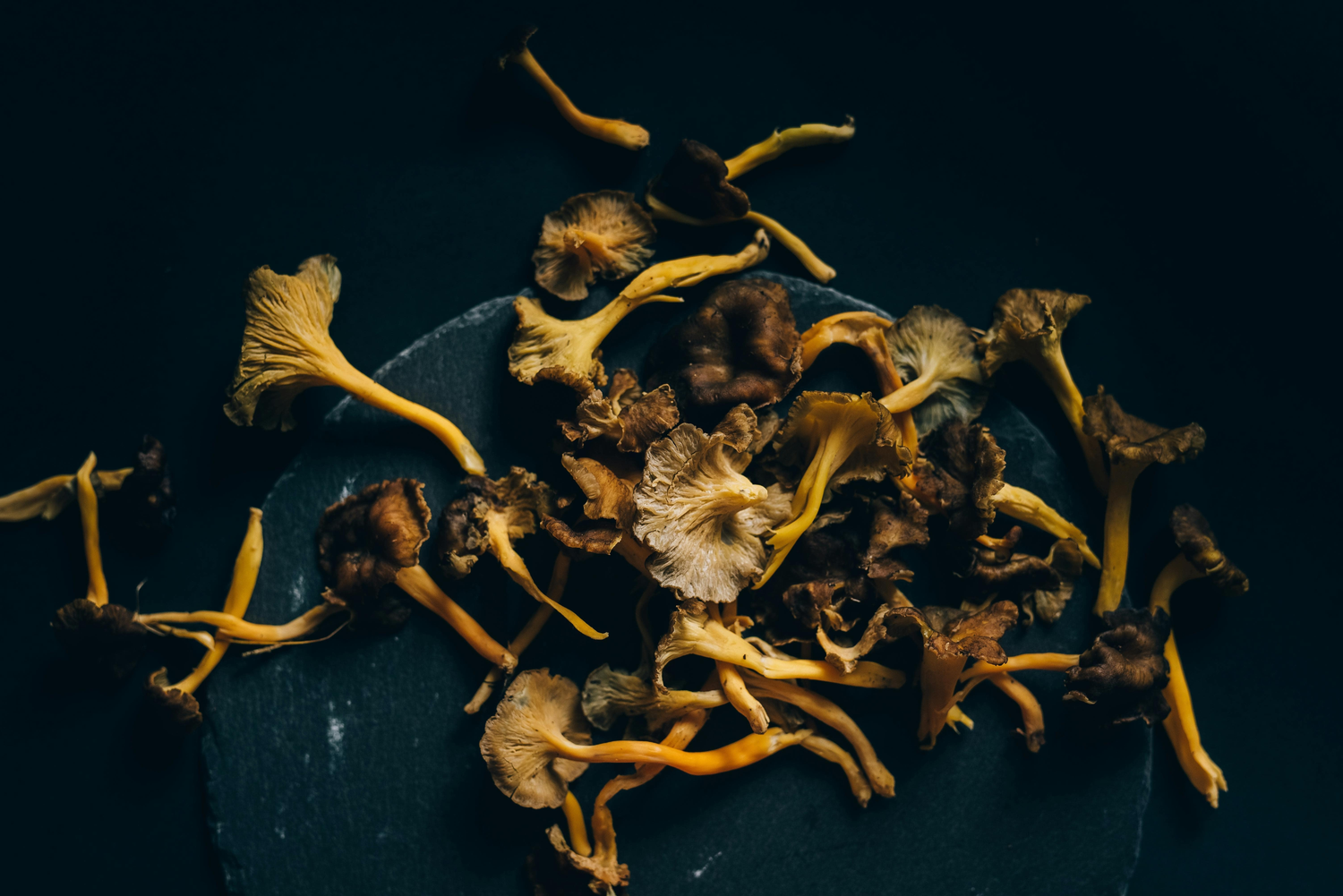 Mushrooms & Truffles