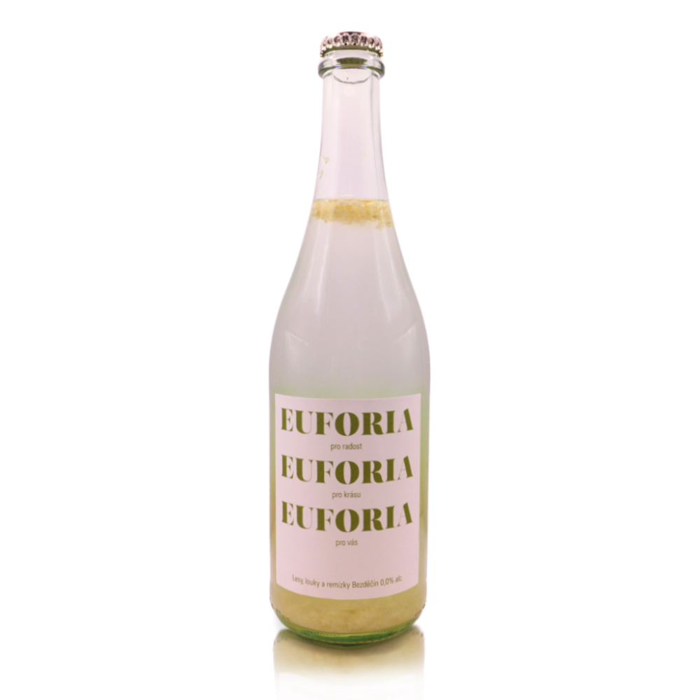 Fermented Birch Sap