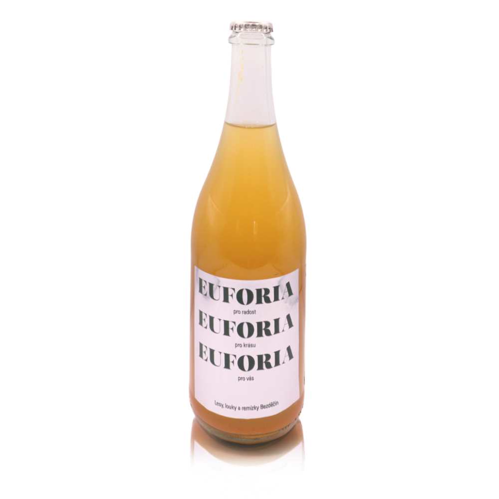 Fermented Birch Sap