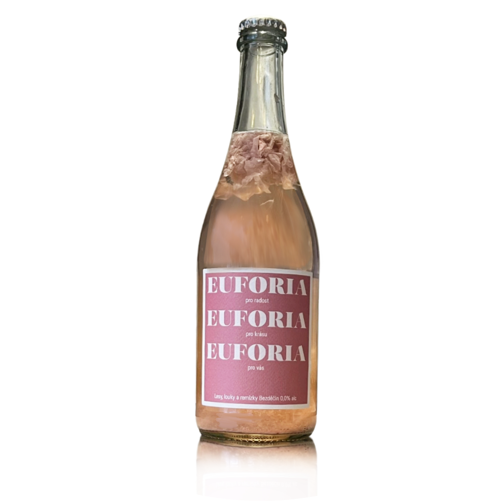 Fermented Birch Sap