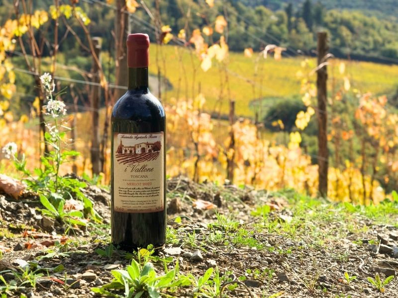 The Art of Pairing: Super Tuscan