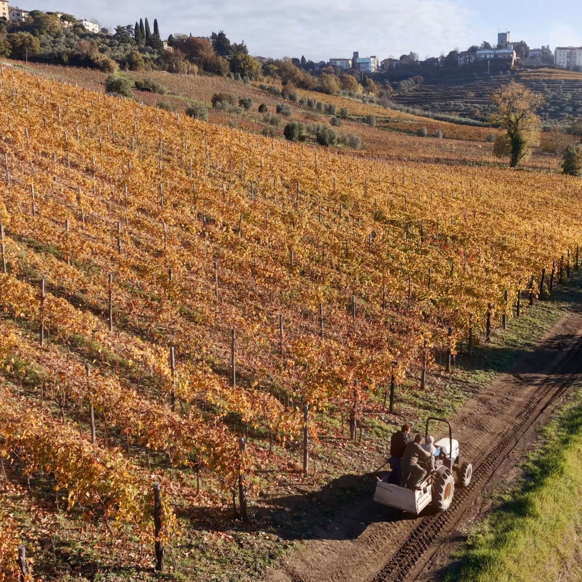 Rocca Farm