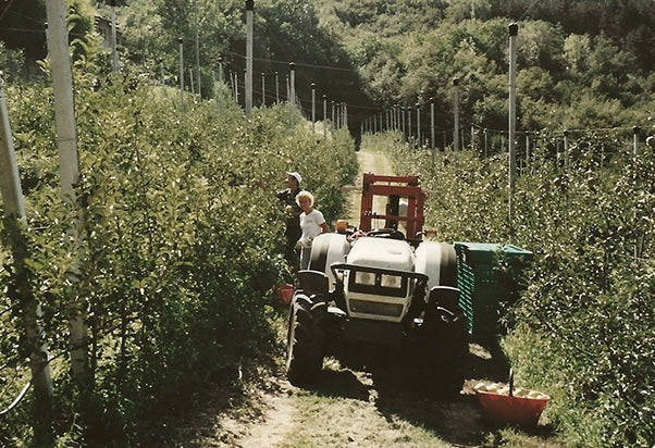 Bio Debiasi
