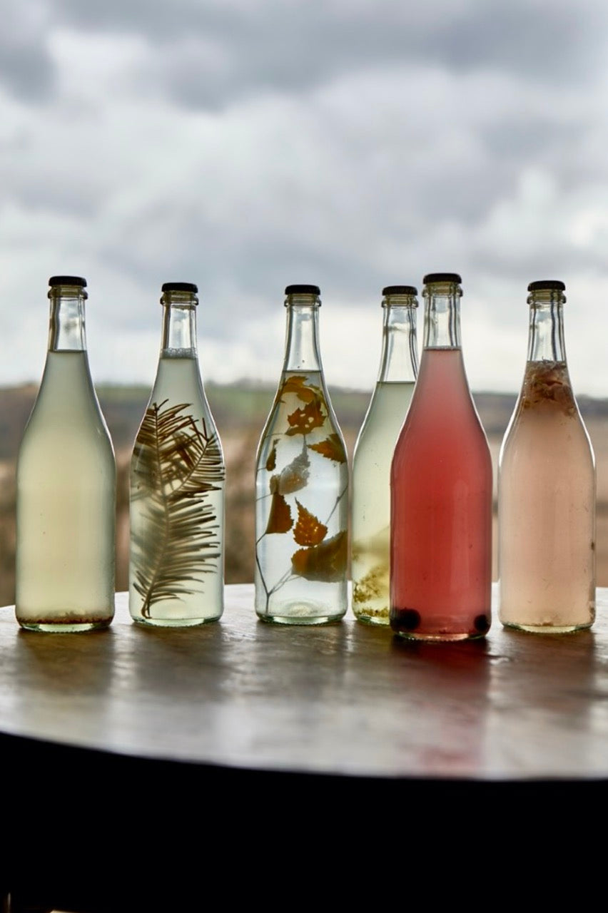Ways to Enjoy Euforia Fermented Birch Sap