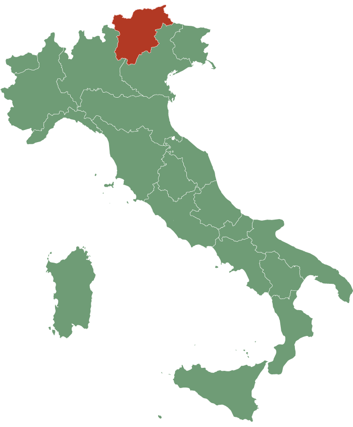 Bio Debiasi