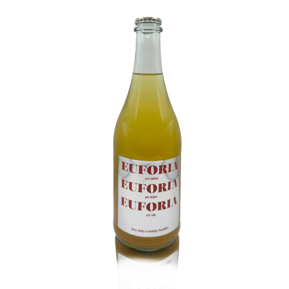 Fermented Birch Sap