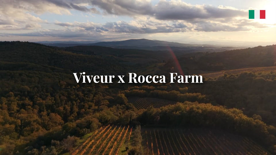 Corto Viveur X Rocca Farm